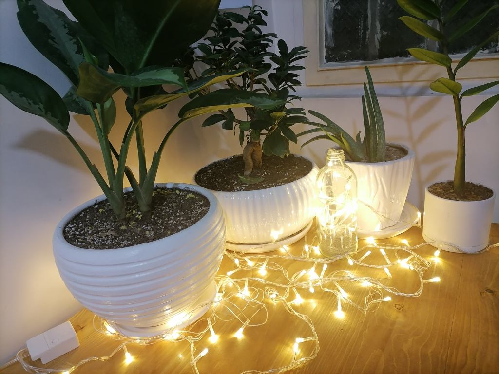 ریسه ال ای دی مدل سوزنی طول 10 متری